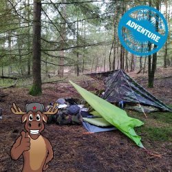 Microadventure op de Veluwe | Wildkamperen in het bos